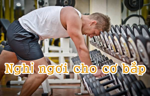 Hãy để cơ bắp được nghỉ ngơi