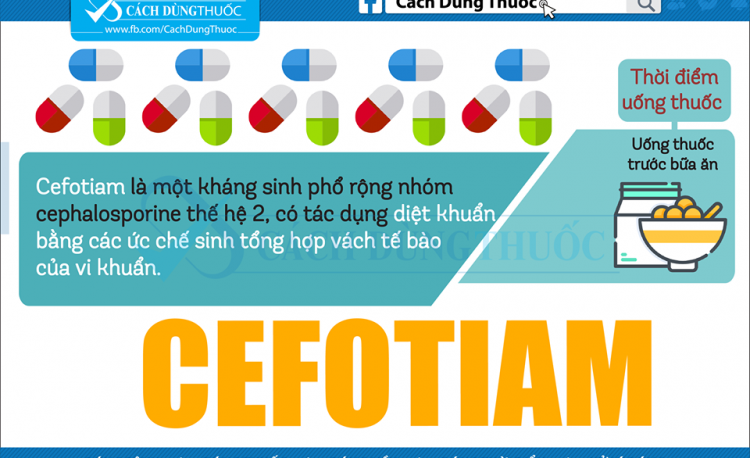 Dược sĩ tư vấn hướng dẫn cách dùng thuốc Cefotiam
