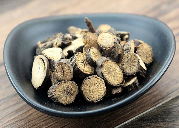 Xích thược là vị thuốc quý trong y học cổ truyền