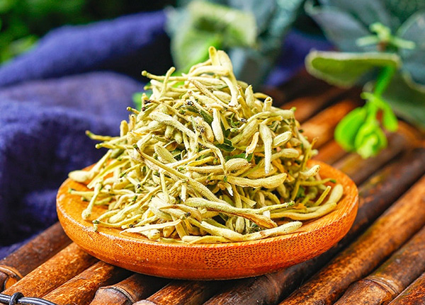 Kim ngân hoa là vị thuốc quý trong Đông y