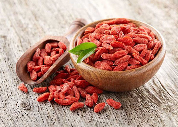 Câu kỷ tử là vị thuốc quý trong Đông y